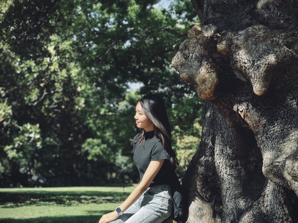 시드니 데이투어